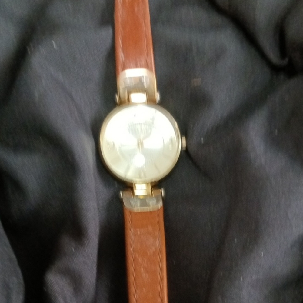 Anne Klein Gold and Brown Women's Watch